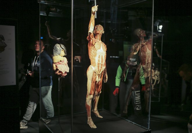 Prva razstava plastinatov je bila na Japonskem leta 1995. Danes človeška telesa prikazujejo v veliko bolj dinamičnih držah. FOTO: Jože Suhadolnik