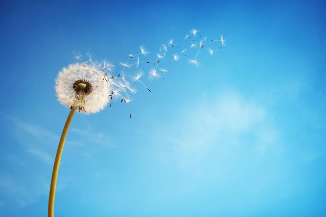 FOTO: Brianajackson Getty Images/istockphoto