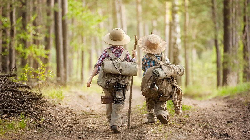 Fotografija: Two boys go hiking with backpacks on a forest road bright sunny day