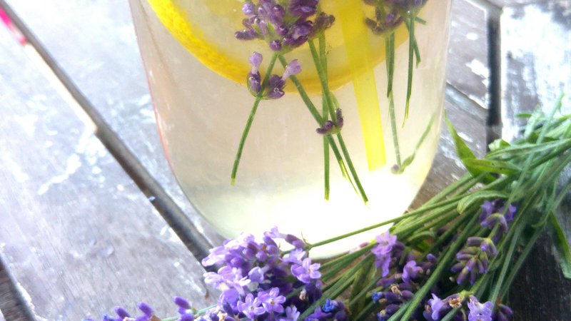 Fotografija: Poletov recept: Sivkino bezgova limonada. FOTO: Tanja Drinovec