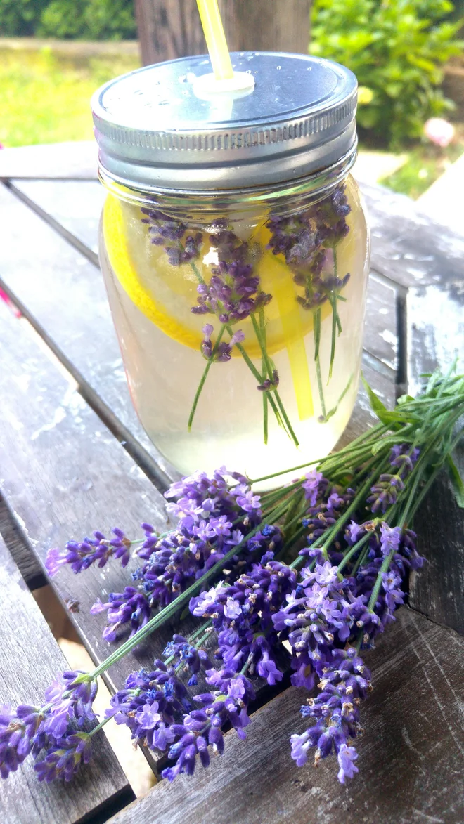 Poletov recept: Sivkino bezgova limonada. FOTO: Tanja Drinovec