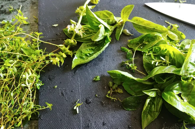 Poletov recept: Manj je več špageti. FOTO: Tanja Drinovec
