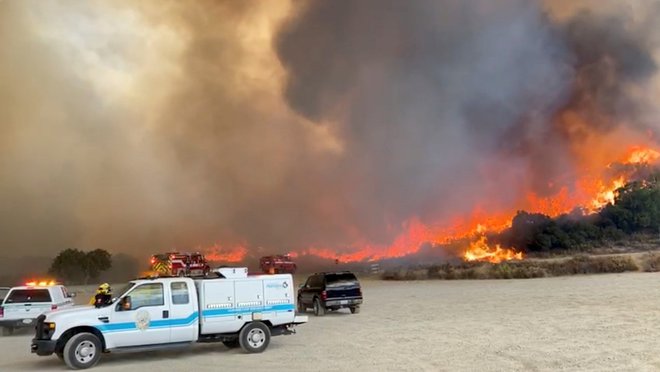 Reševalci in gasilci ne morejo zavarovati vseh. FOTO: San Diego Humane Society/Reuters