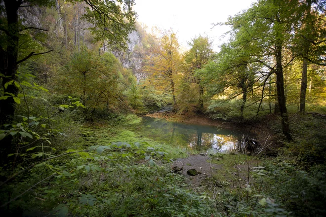 Skrivnostni in tihotni Močilnik, kamor je Cankar rad zahajal. FOTO Voranc Vogel/Delo