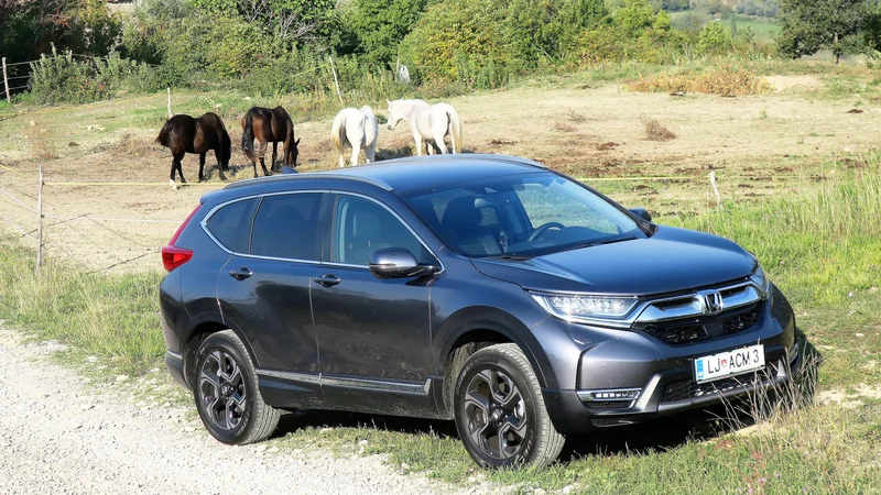 Fotografija: Novi CRV je v primerjavi s prejšnjo generacijo najbolj prepoznaven po spremenjeni motorni maski, bolj futuristični zasnovi zadka in dejstvu, da si v njem ni mogoče omisliti dizelskega pogona. FOTO: Bruno Kuzmin