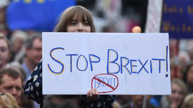 Fotografija: Na protestu so zahtevali referendum o končnem dogovoru. FOTO: Clodagh Kilcoyne/Reuters