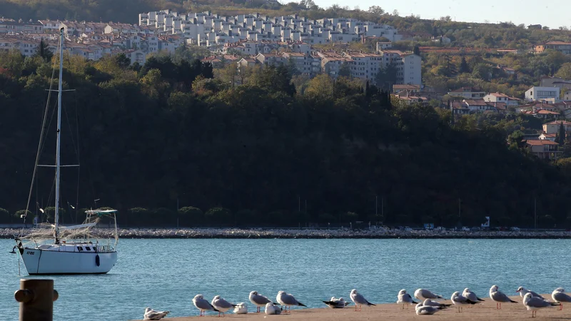 Fotografija: DUTB je v soseski Nokturno prodala 212 stanovanj, zdaj prek sodišča poskuša priti do stanovanj podizvajalcev. Foto Tomi Lombar