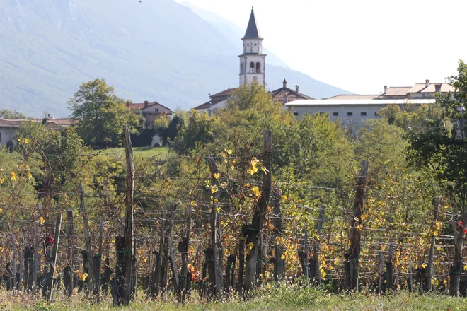 Vinski turizem je v ospredju. Foto Tomi Lombar/Delo