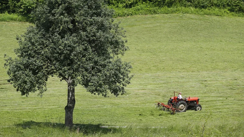 Fotografija: Fotografija je simbolična. FOTO: Leon Vidic/Delo