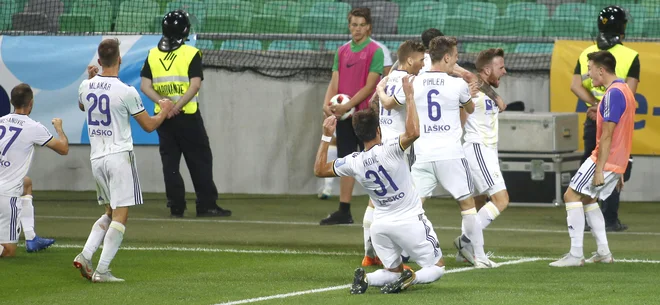 Prizor, karkšnega so v Stožicah po golih uprizarjali Mariborčani, želijo Ljubljančani izpeljati v Ljudskem vrtu. FOTO: Roman Šipić/Delo