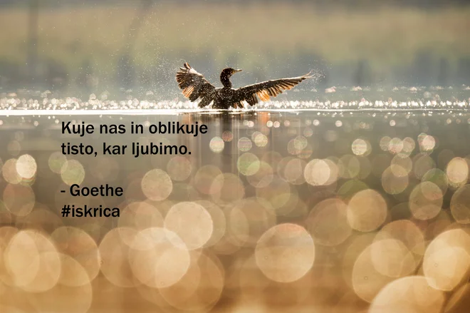 Sobotna iskrica dneva. FOTO: Delo