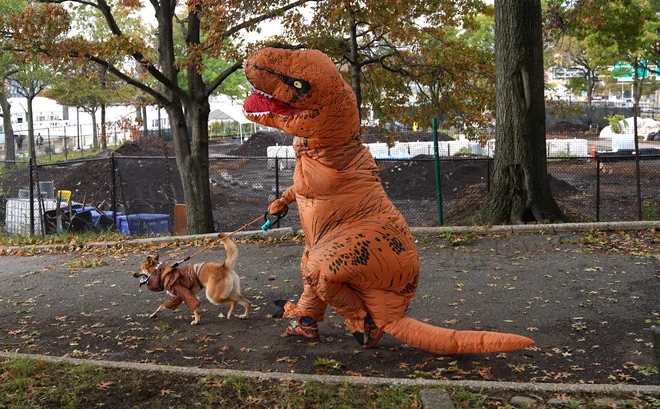 V ZDA in tudi drugod po svetu je že vse v znamenju praznovanja noči čarovnic (halloween). V New Yorku so že 28. leto v prazničnem duhu organizirali pasjo parado (Tompkins Square Halloween Dog Parade). Foto Timothy A. Clary/AFP