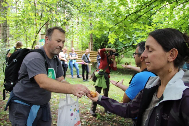 Gozdna pedagogika ni primerna le za mlajše. Foto Simona Fajfar