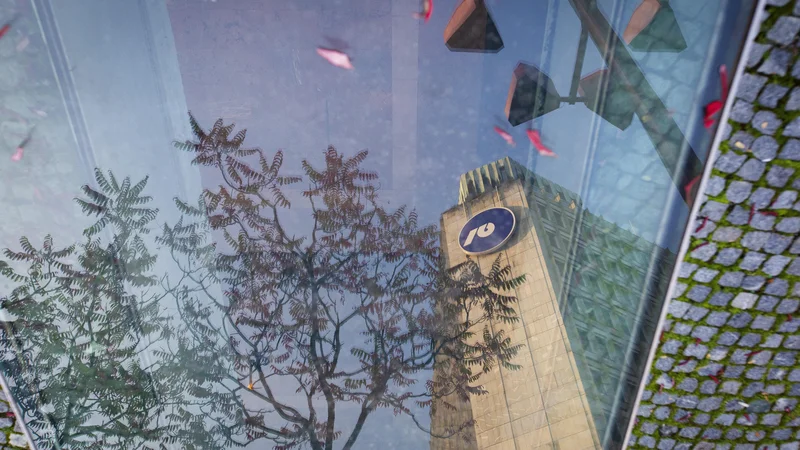 Fotografija: Država bo v manj kot letu dni verjetno prodala dve naložbi, ki sta zadnji dve leti poganjali donose: NLB in Abanko. Foto Jože Suhadolnik/Delo