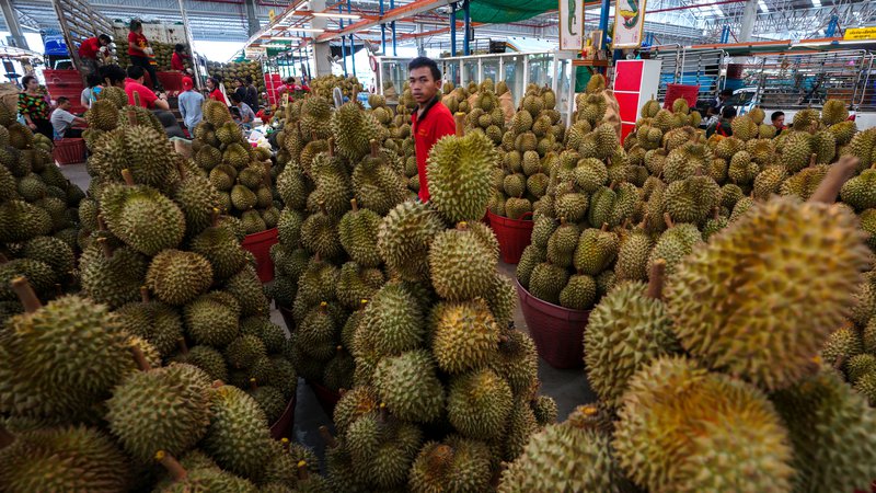 Fotografija: Durian. FOTO: Athit Perawongmetha/Reuters