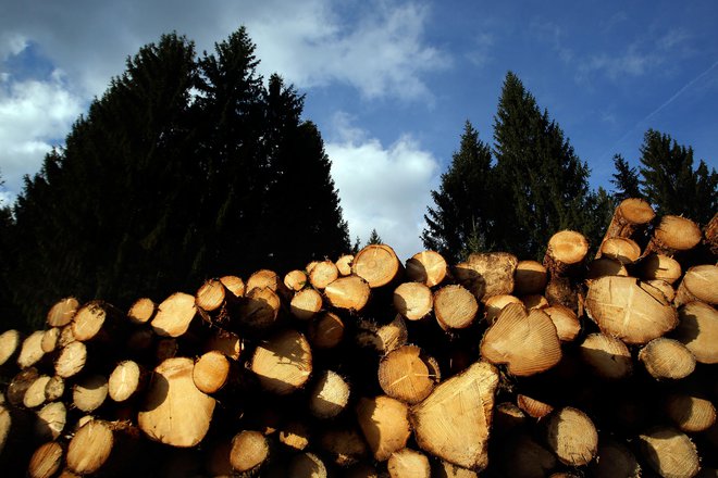 Lani so se naložbe v lesni industriji skoraj podvojile na 112 milijonov evrov. FOTO: Uroš Hočevar/Delo