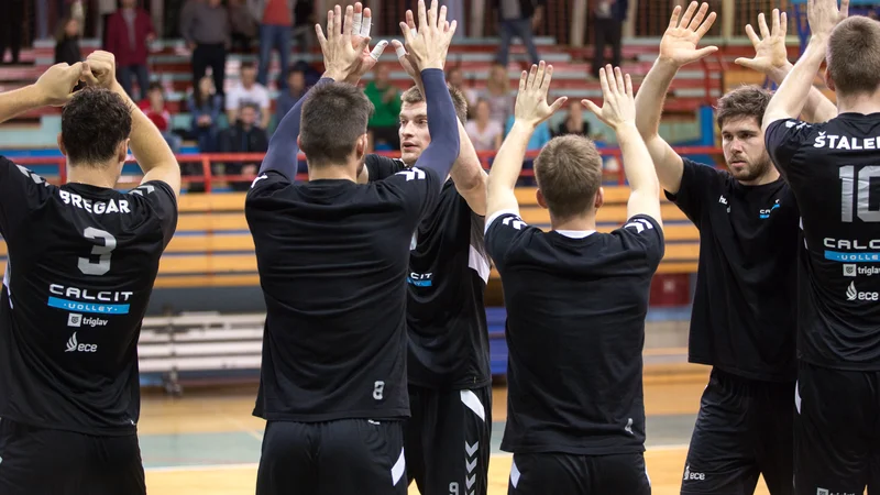Fotografija: Kamničani bodo vnovič eni najresnejših izzivalcev ACH Volleyja. FOTO: Klemen Brumec/OK Kamnik