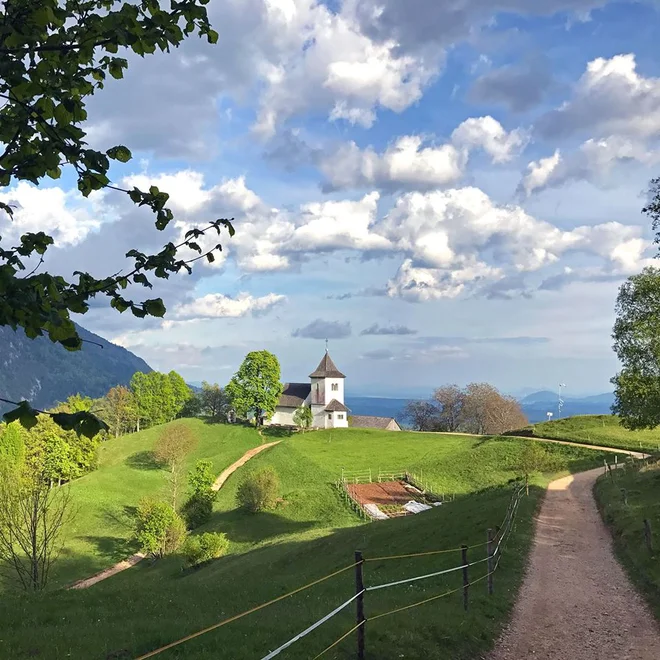Takole se vije pot, ki jo bodo zmogli tudi dveletniki, k cerkvi sv. Petra nad Begunjami. FOTO: FB-stran