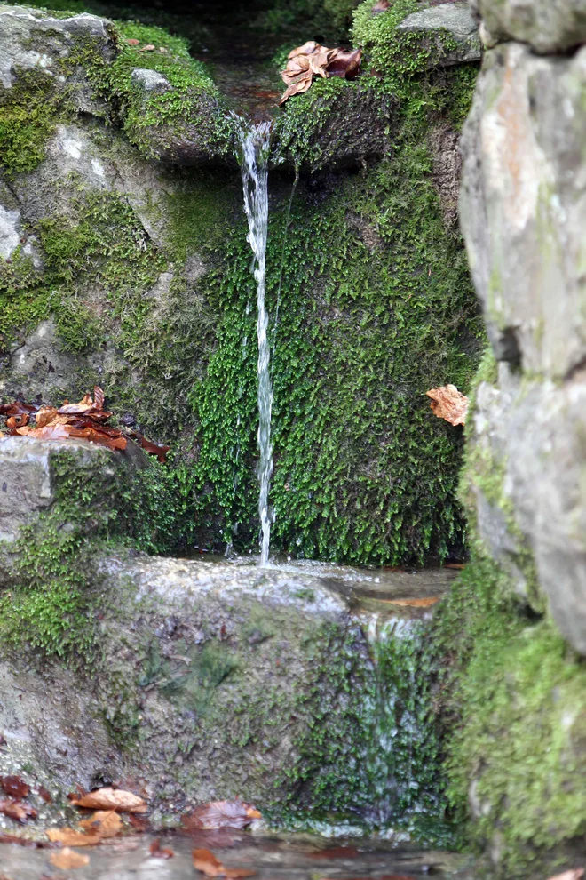 Pri izviru studenca Gospodična na Gorjancih. Prav idilično, mar ne? FOTO: Igor Mali