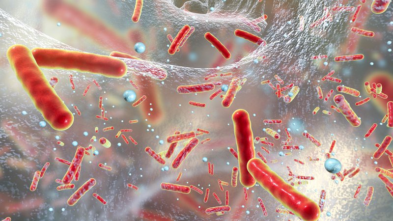 Fotografija: Bakterije, odporne na antibiotike, so neizogibna grožnja človeku. FOTO: Getty Images