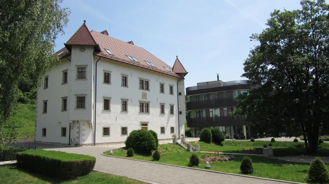 Slaba banka ima v svojem portfelju večinoma nasedle naložbe, ki so že po naravi zanimivejše za špekulante, ki iščejo hitre zaslužke. FOTO: Roman Šipić