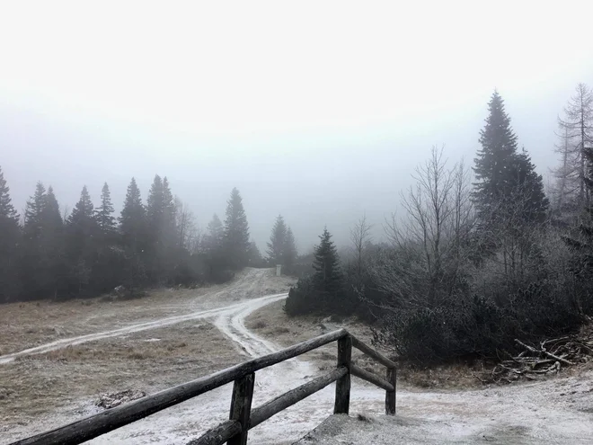 Višji predeli Slovenije so že dočakali sneg. Tako je bilo v nedeljo na Veliki Planini. FOTO: Velika Planina d.o.o.
