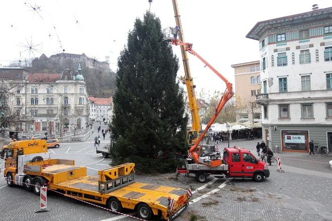 Na Prešernovem trgu so že postavili novoletno jelko, ki bo konec meseca zažarela ob prižigu lučk v celotni prestolnici. Foto Mavric Pivk