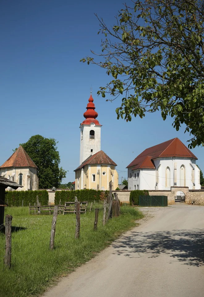 Tri fare v Rosalnicah pri Metliki. Slovenija 11.maja 2015. FOTO: Jure Eržen/delo