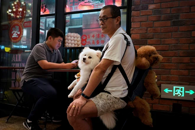 Psi postajajo čedalje bolj priljubljeni hišni ljubljenčki v domovih širom po Južni Koreji, jedi iz pasjega mesa pa mlajša generacija Korejcev zavrača. FOTO: Reuters