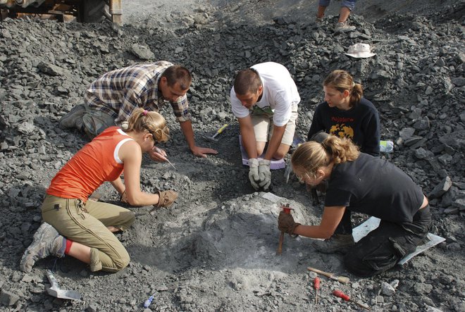 Izkopavanja so potekala v kraju Lisowicia na Poljskem.  FOTO: Grzegorz Niedzwiedzki/AP