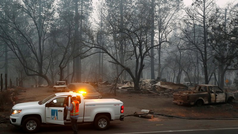 Fotografija: Razmah požarov na zahodu ZDA po mnenju strokovnjakov kaže, kako bodo podnebne spremembe spremenile razmere na planetu. FOTO Reuters