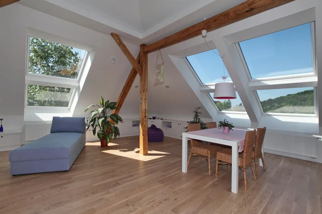 Dovolj naravne svetlobe Foto: Velux