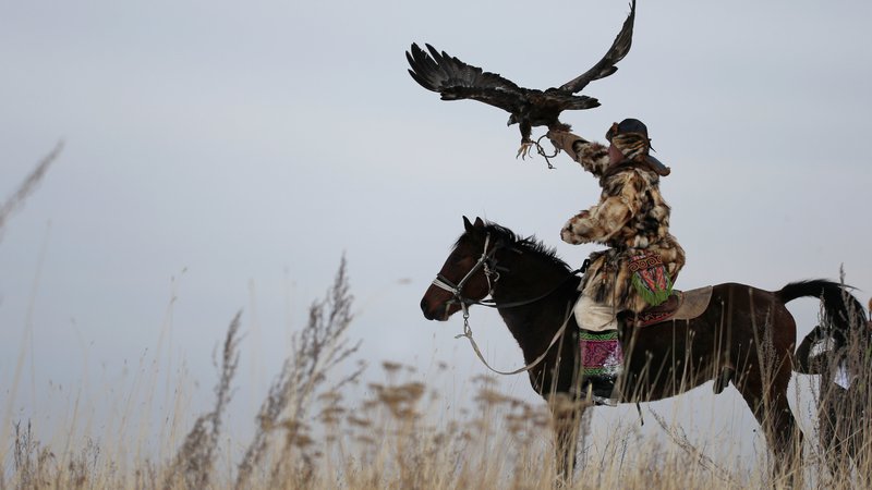 Fotografija: V Kazahstanu so organizirali tradicionalno tekmovanje v lovu z orli. Foto Pavel Mikheyev Reuters