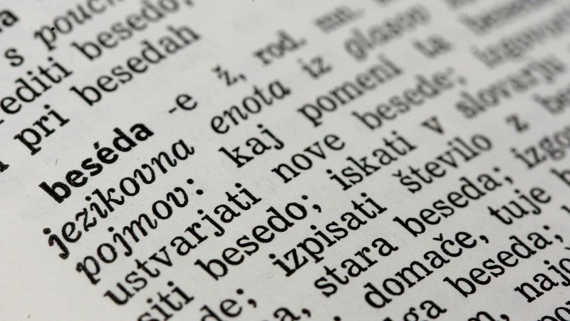 Fotografija: V »googlu slovenskih slovarjev« je zdaj 37 slovarjev.    Foto Leon Vidic/delo