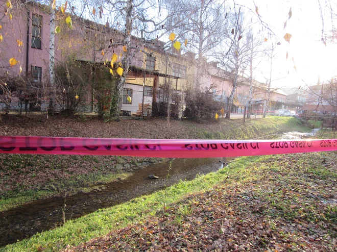 Po neuradnih podatkih je v enemu od zabojnikov v poslopju prišlo do kemične reakcije. FOTO: Špela Kuralt