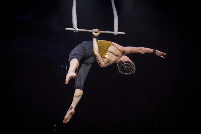 Avstralski cirkus Circa v Cankarjevem domu FOTO: Pedro Greig