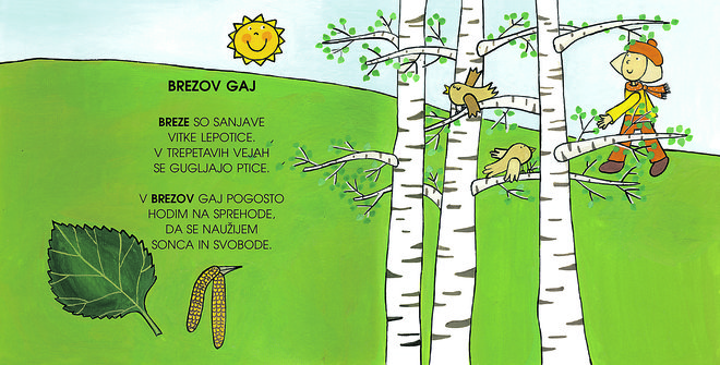 Izsek iz knjige z naslovom <em>Drevesa </em>(zbirka <em>Nanizanka srčnosti</em>) – »Gospa, ki se na risbi sprehaja med brezami, je naša Zvezdana,« je povedala ilustratorka Urška.