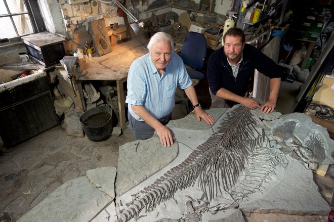 Attenborough in morski zmaj Attenborough and the Sea Dragon Foto Press