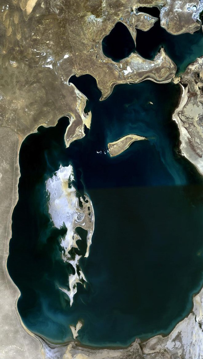 Aralsko jezero leta 1989. FOTO: Earth Observatory
