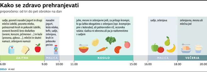 Infografika Dela