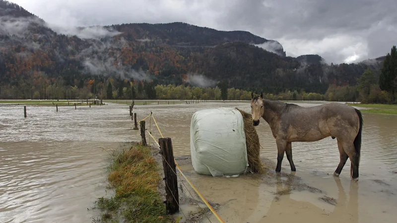 Fotografija: Slovenija Selo pri Bledu 05.11.2012 - Poplave. Foto: Leon Vidic/Delo