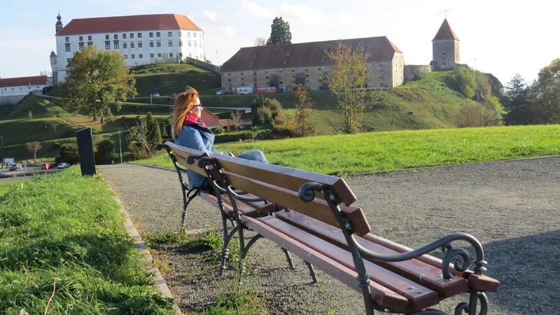 Fotografija: Panorama: Za zdaj samo poti po trasah rimskih ulic in nekaj klopi. FOTO: Franc Milosic