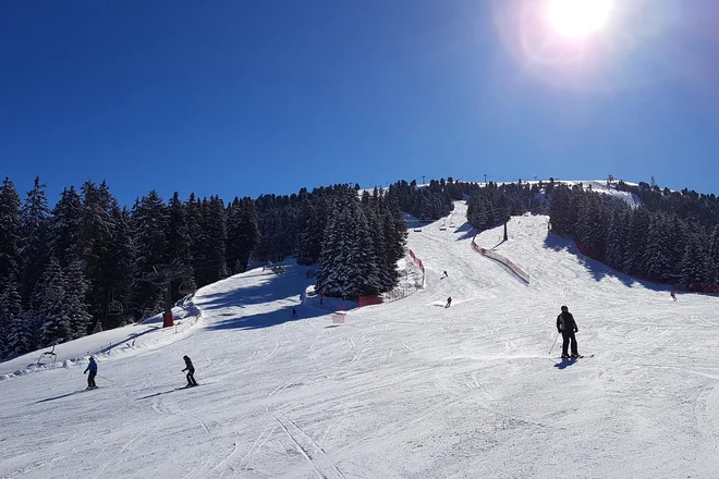 Proge so široke in primerne za vse vrste smučarjev. FOTO: Voranc Vogel