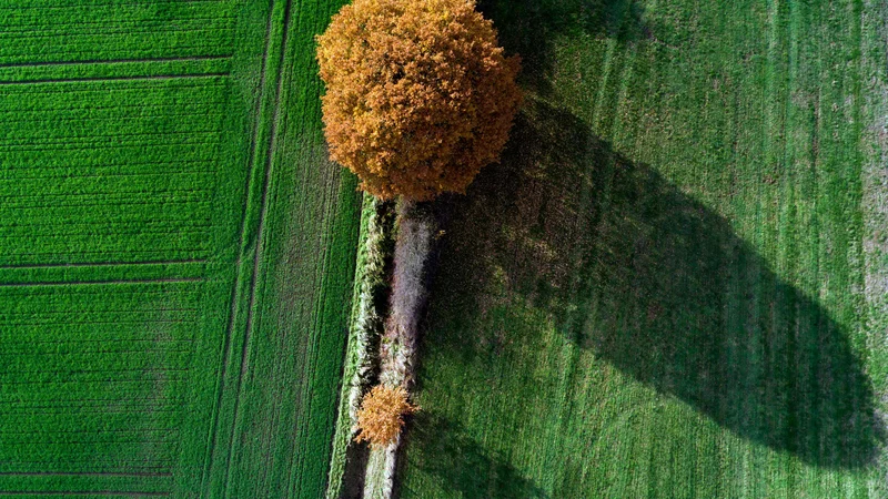 Fotografija: Praviloma je mogoče vse, tudi manj prijetne resnice, povedati vljudno in na dostojanstven način. Foto: AFP