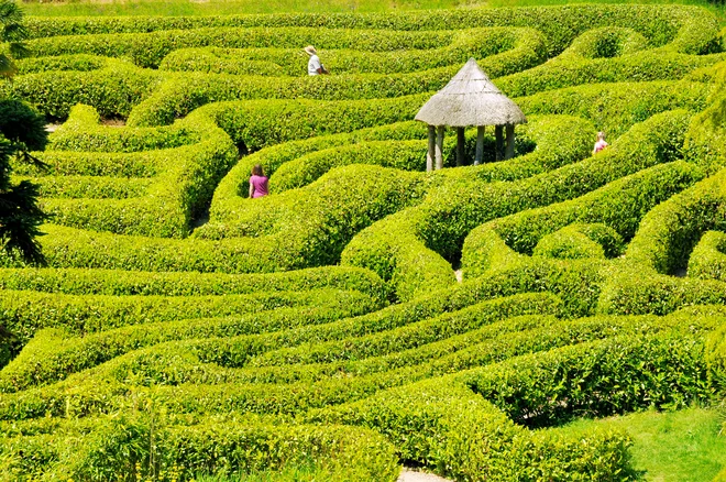 Poiskati je treba dobre plati in se nanje osredotočiti. FOTO Shutterstock