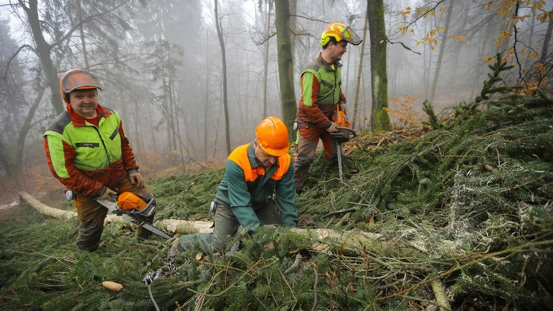 Fotografija: Ob tem, ko starejši postajajo vse bolj potrebna delovna sila, bi bilo treba razmišljati tudi o tem, da jim je treba prilagoditi delovne pogoje in norme. Foto Jože Suhadolnik