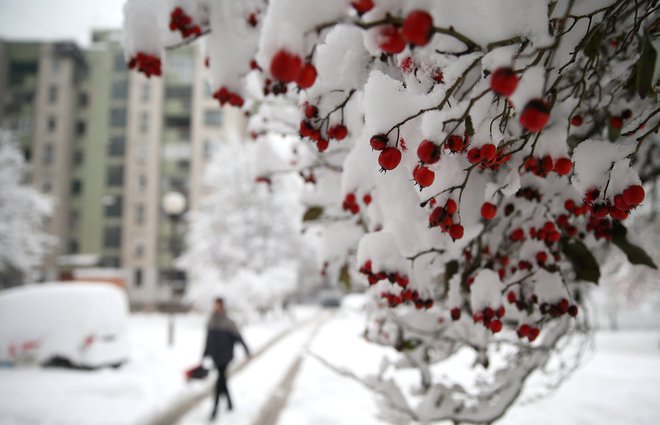 Zenico je zajelo močno sneženje. FOTO: Dado Ruvic/Reuters