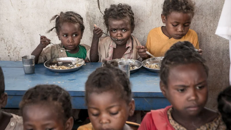 Fotografija: Deklice iz osnovne šole na Madagaskarju jedo kosilo, ki ga priskrbijo člani programa za preprečevanje podhranjenosti, le ta pa deluje v okviru svetovnega programa za prehrano. Že nekaj sezon je celoten južni del Madagaskarja ujet v sušo, zaradi katere je bila voda vse redkejša in je celo prizadela rasti riža, glavnega vira hrane. Foto Rijasolo Afp