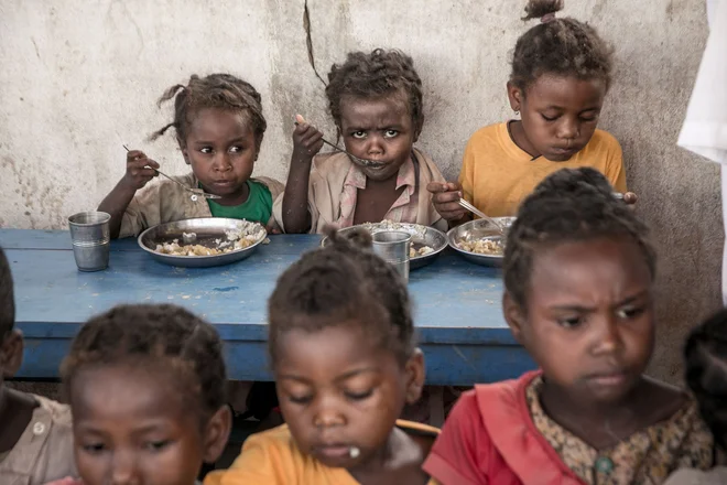 Deklice iz osnovne šole na Madagaskarju jedo kosilo, ki ga priskrbijo člani programa za preprečevanje podhranjenosti, le ta pa deluje v okviru svetovnega programa za prehrano. Že nekaj sezon je celoten južni del Madagaskarja ujet v sušo, zaradi katere je bila voda vse redkejša in je celo prizadela rasti riža, glavnega vira hrane. Foto Rijasolo Afp