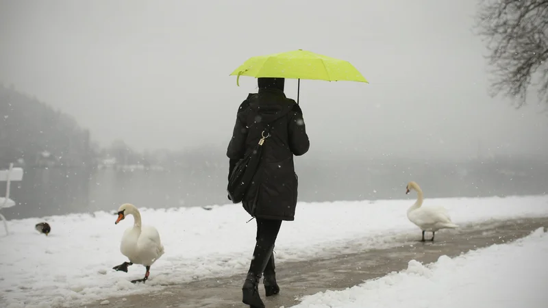 Fotografija: Zapovedana praznična sreča utegne negativno vplivati na počutje bolj občutljivih, ranljivih in osamljenih, predvsem starejših ljudi. FOTO: Jure Eržen